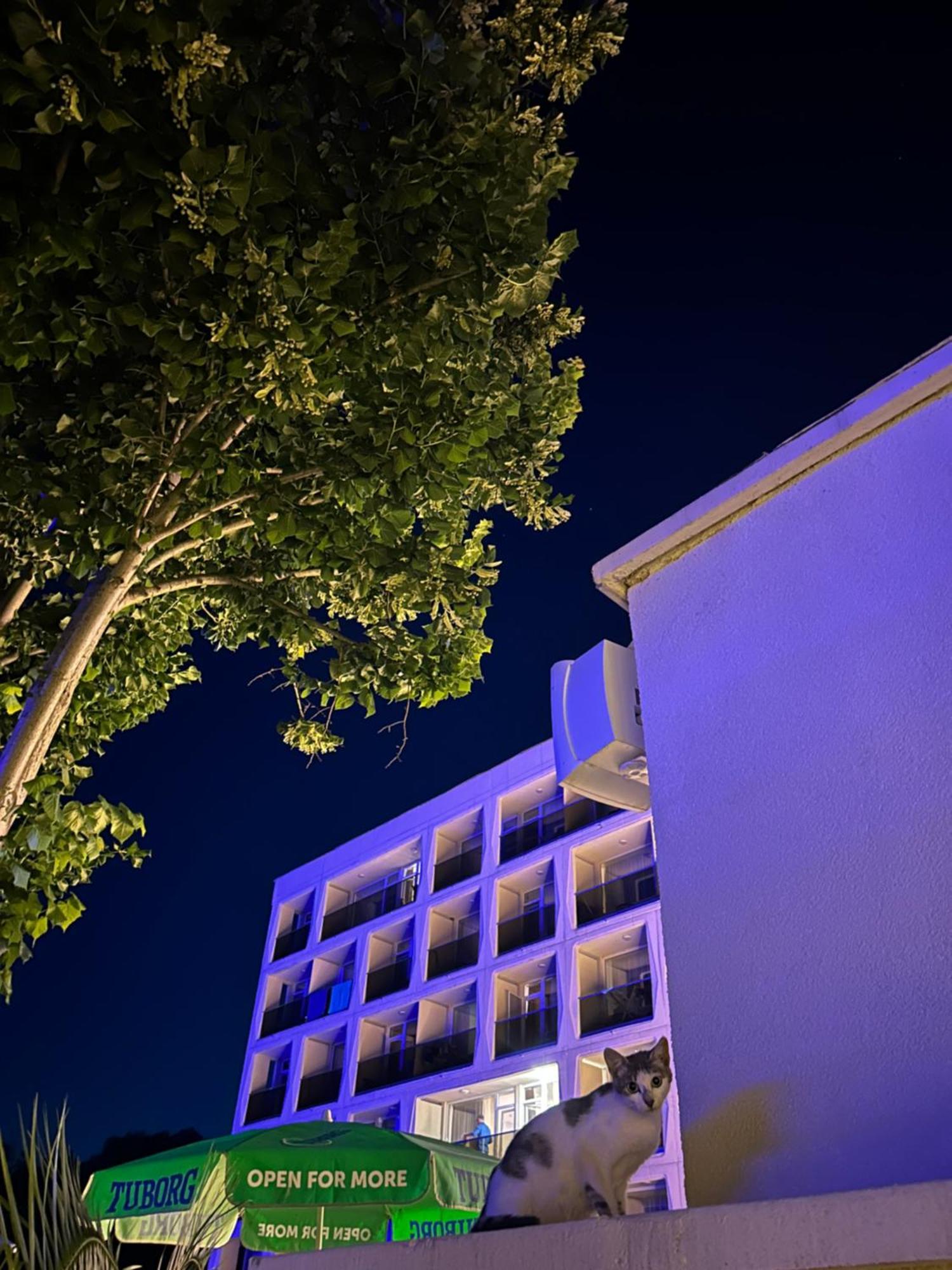 Hotel Agora เนพทุน ภายนอก รูปภาพ